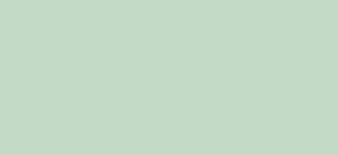 Interieurfolie effen Solid pale green